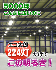 プロライト製 無電極ランプ【エコ太郎】の施工事例